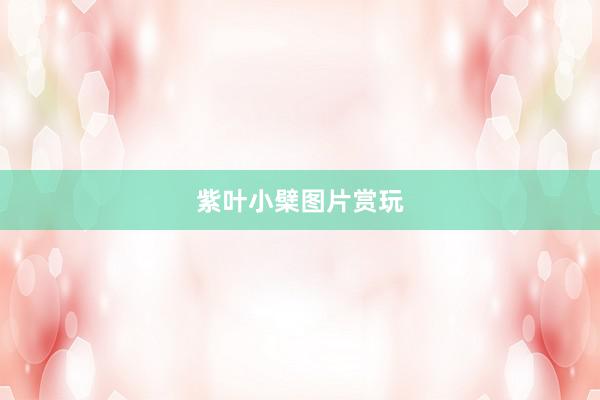 紫叶小檗图片赏玩