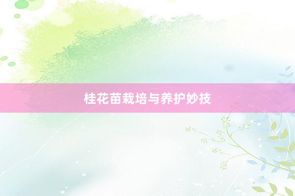 桂花苗栽培与养护妙技