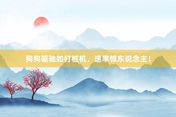 狗狗驱驰如打桩机，速率惊东说念主！